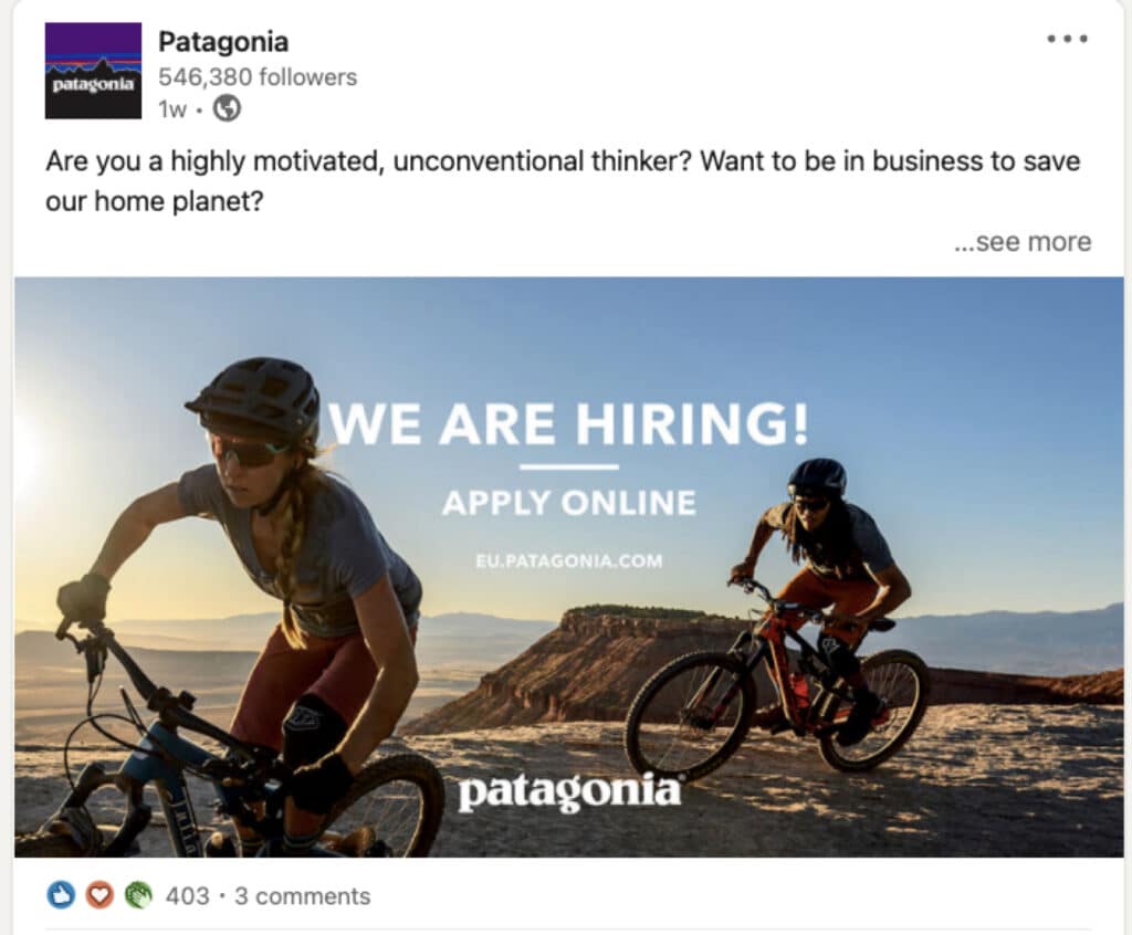 Patagonia Linkedin